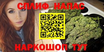 стаф Тверь