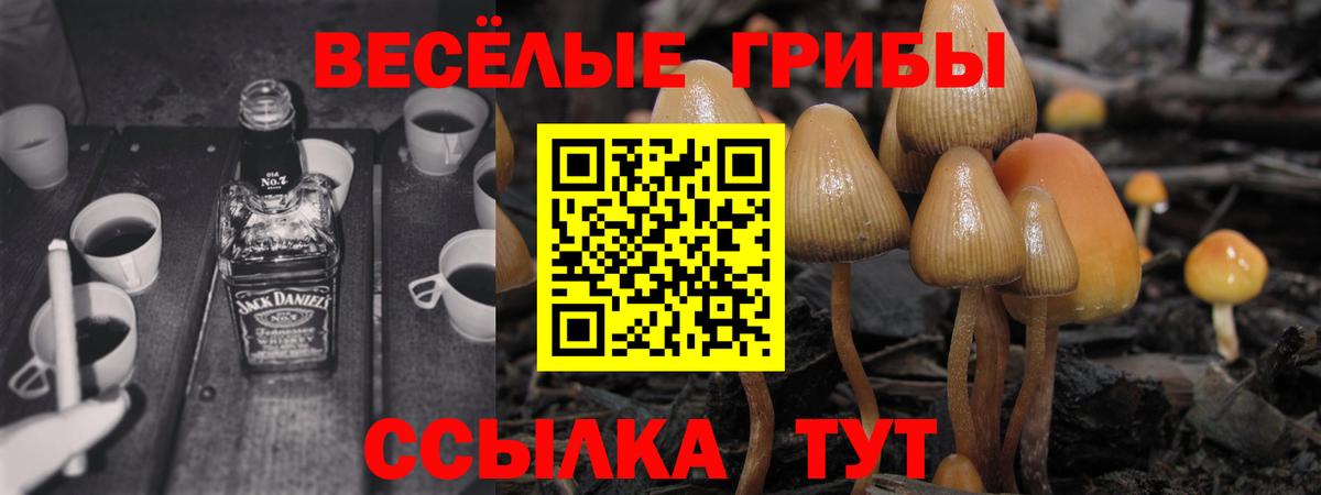 Галлюциногенные грибы Magic Shrooms Богданович
