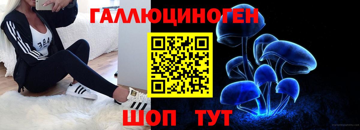 Богданович  Псилоцибиновые грибы Cubensis  Вход с VPN  где купить наркоту  Галлюциногенные грибы Magic Shrooms 