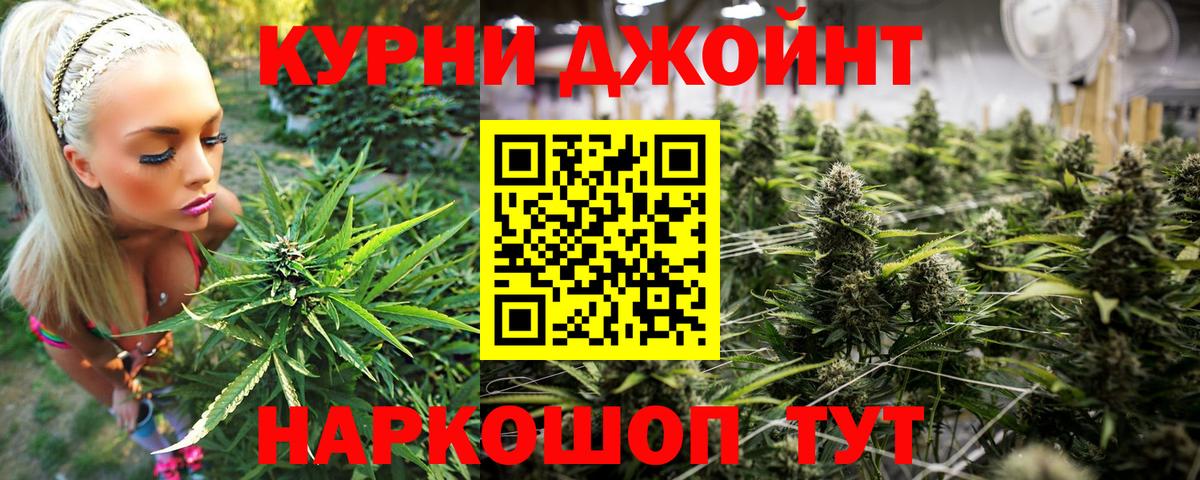МАРИХУАНА тримм  Вход с VPN  Богданович  МАРИХУАНА White Widow  Конопля сатива 